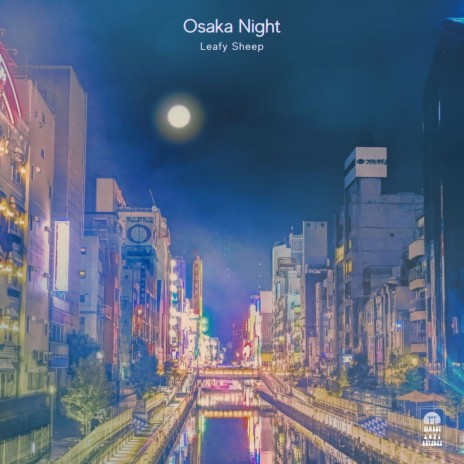 Osaka Night