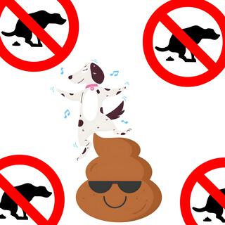 STOP FING POOPING ON MY CARPET, YOU DUMB DOG_ lyrics | Boomplay Music