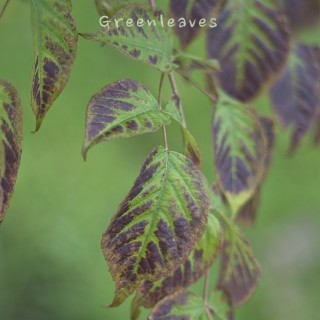 Greenleaves