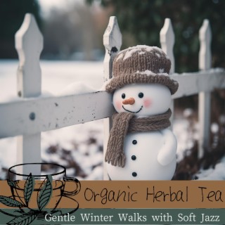 Gentle Winter Walks with Soft Jazz