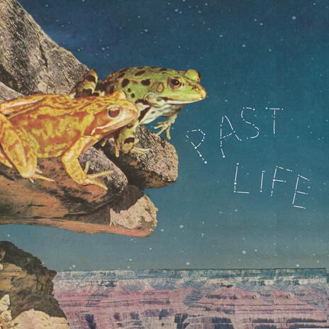 Past Life | Boomplay Music