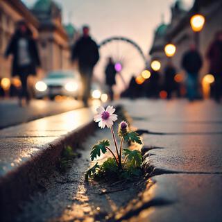 tourist attraction/street flower