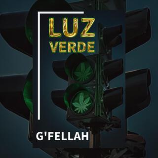 Luz Verde