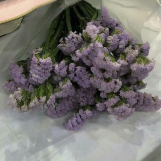 Lavender Flowers