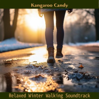 Relaxed Winter Walking Soundtrack