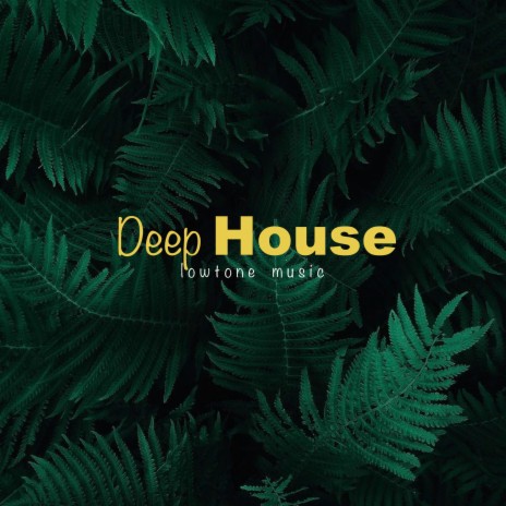 Deep House | Boomplay Music