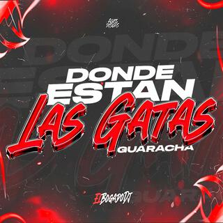 Donde Estan Las Gatas (Guaracha)