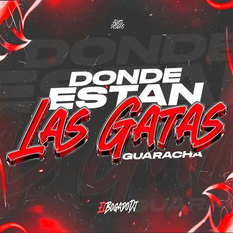 Donde Estan Las Gatas (Guaracha) | Boomplay Music