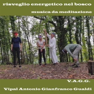 Vipal Antonio Gianfranco Gualdi