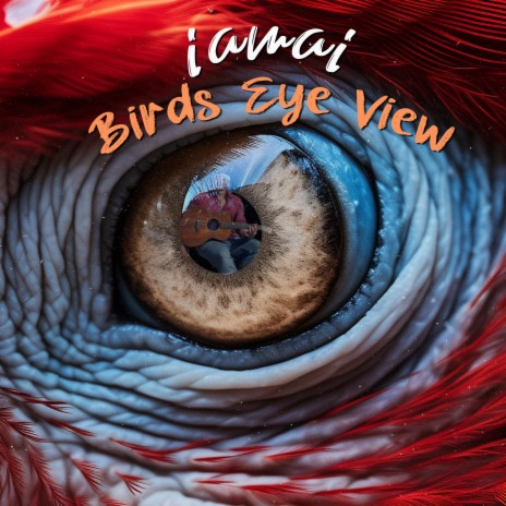 Birds Eye View | Boomplay Music