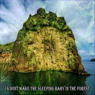 18 Dont Wake The Sleeping Baby In The Forest