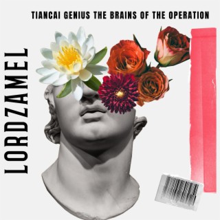 TIANCAI GENIUS THE BRAINS OF THE OPERATION