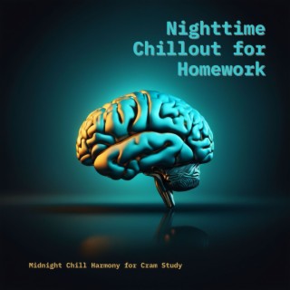 Nighttime Chillout for Homework - Midnight Chill Harmony for Cram Study