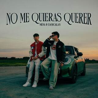 No Me Quieras Querer