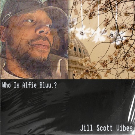 Jill Scott Vibes | Boomplay Music