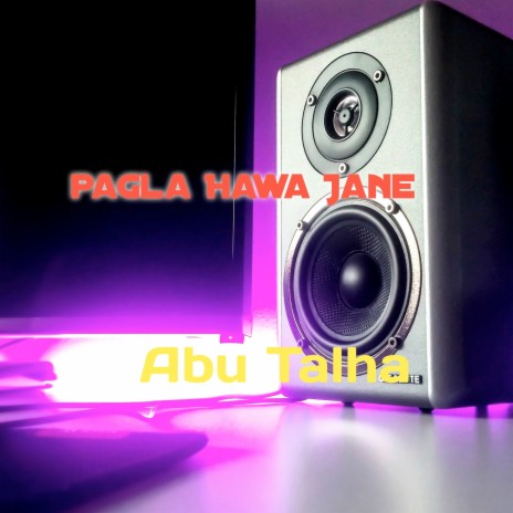 Pagla Hawa Jane | Boomplay Music