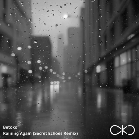 Raining Again (Secret Echoes Remix) (Secret Echoes Remix) | Boomplay Music