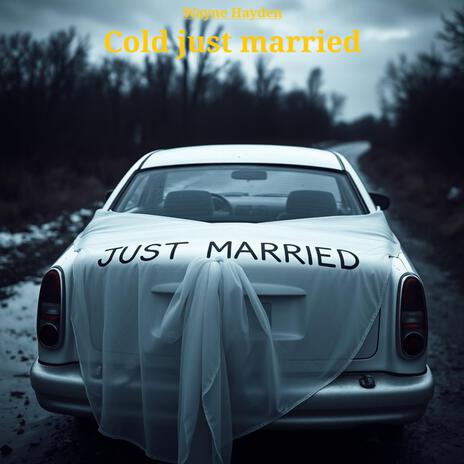 Cold just married | Boomplay Music