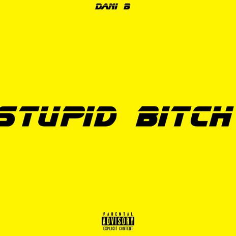 Stupid Bitch | Boomplay Music