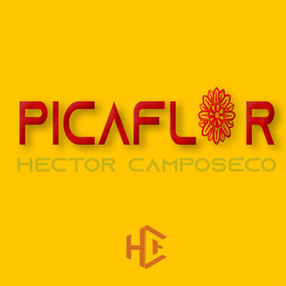 Picaflor