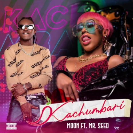 Kachumbari ft. Mr. Seed | Boomplay Music