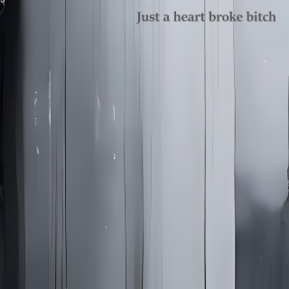 Just a Heart Broke Bitch