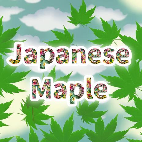 Japanese Maple | Boomplay Music