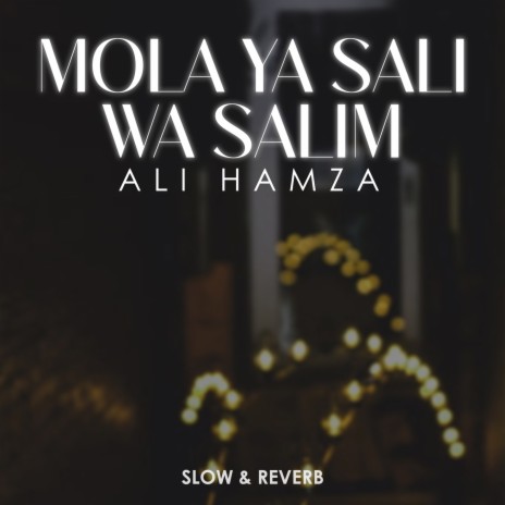 Mola Ya Sali Wa Salim Lofi | Boomplay Music