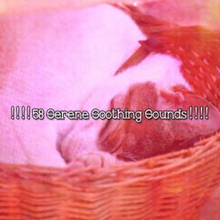 ! ! ! ! 58 Serene Soothing Sounds ! ! ! !