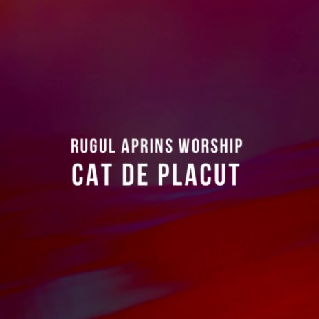 Cat De Placut | Boomplay Music