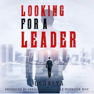 Looking for a Leader