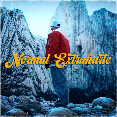 Normal Extrañarte | Boomplay Music