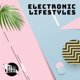 Electronic Lifestyles