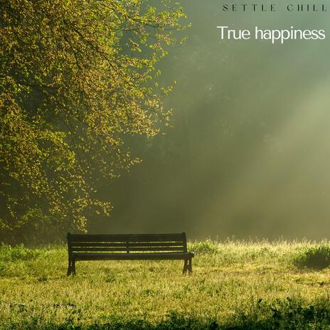 True Happiness | Boomplay Music