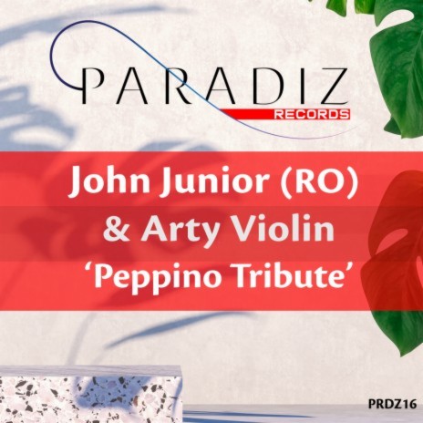Peppino Tribute ft. Arty Violin | Boomplay Music