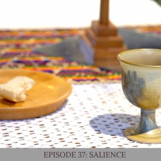 Episode 37: Salience