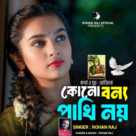 Kono Bonno Pakhi Noy | Boomplay Music