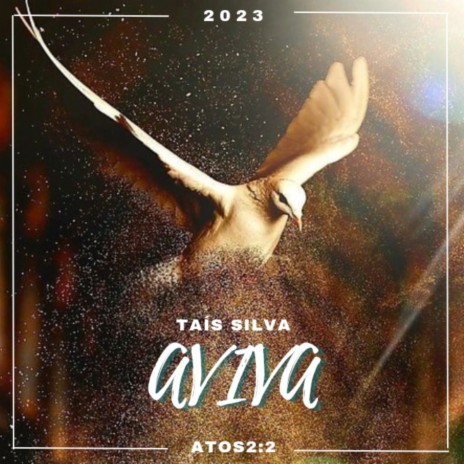 Aviva ft. Vianna Records | Boomplay Music