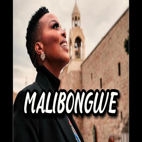 MALIBONGWE | Boomplay Music