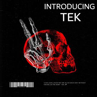 Introducing TEK