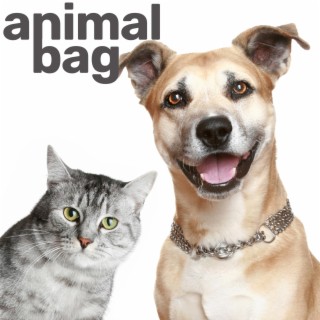 Animal Bag