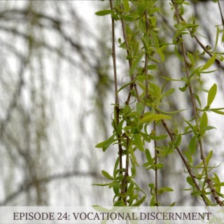 Episode 24: Vocational Discernment