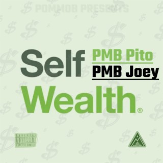 Self Wealth