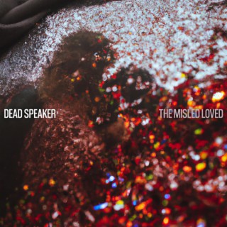 The Misled Loved lyrics | Boomplay Music