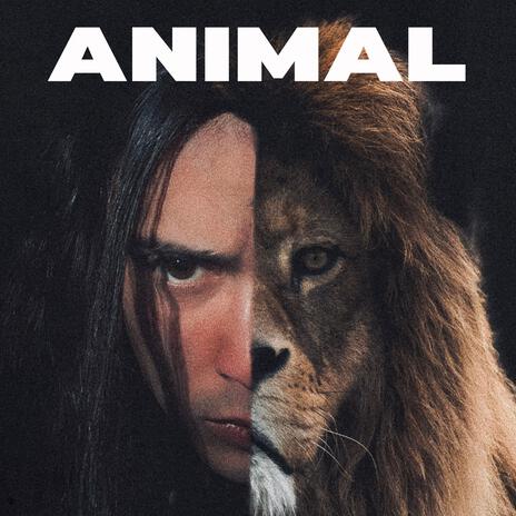 Animal | Boomplay Music