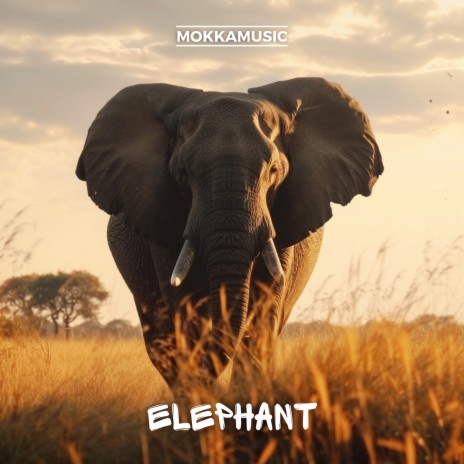 Elephant | Boomplay Music