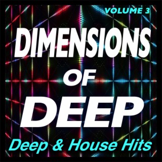 Dimensions of Deep, Vol.3 - Deep & House Hits