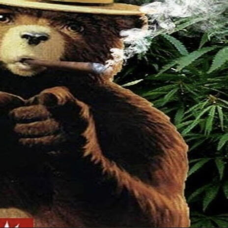 Smokey The Bear | Boomplay Music