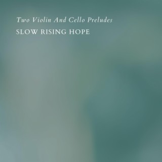 Two Violin And Cello Preludes