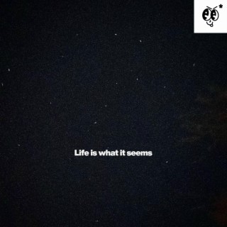 Life is what it seems